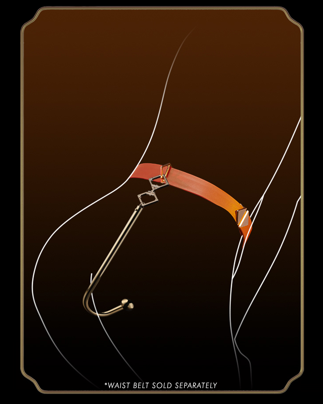 Anal Hook