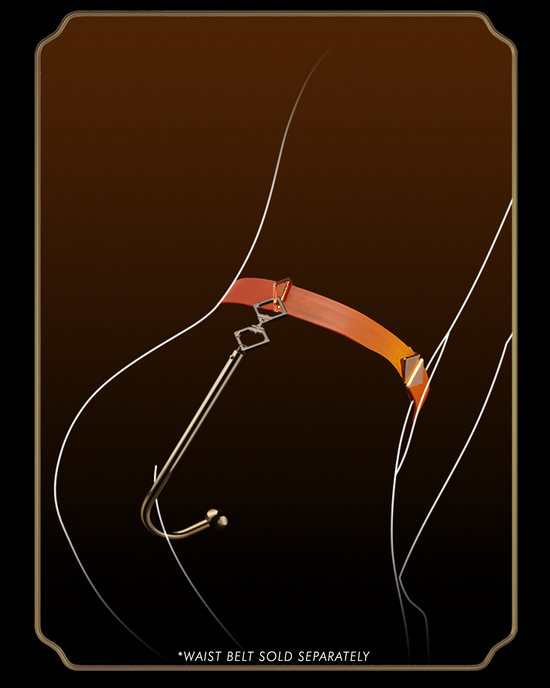 Anal Hook