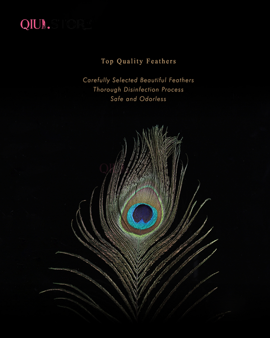 The Teasing Feather